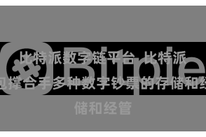 比特派数字链平台 比特派钱包撑合手多种数字钞票的存储和经管