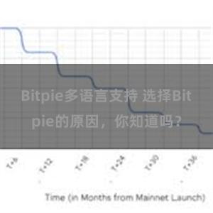 Bitpie多语言支持 选择Bitpie的原因，你知道吗？