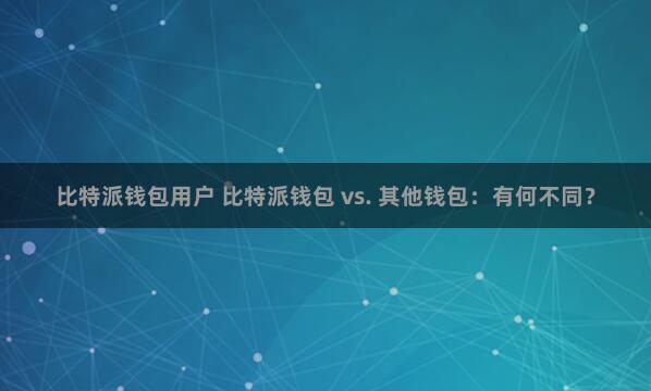 比特派钱包用户 比特派钱包 vs. 其他钱包：有何不同？