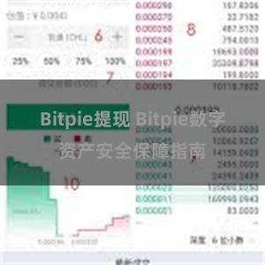 Bitpie提现 Bitpie数字资产安全保障指南