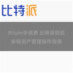 Bitpie手续费 比特派钱包多链资产管理操作指南