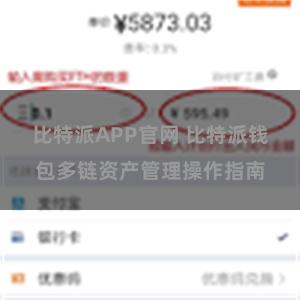 比特派APP官网 比特派钱包多链资产管理操作指南