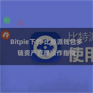 Bitpie下载 比特派钱包多链资产管理操作指南