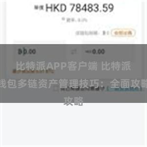 比特派APP客户端 比特派钱包多链资产管理技巧：全面攻略