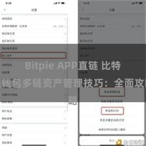 Bitpie APP直链 比特派钱包多链资产管理技巧：全面攻略