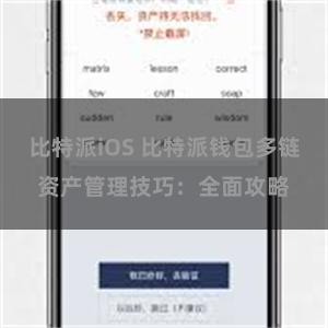 比特派iOS 比特派钱包多链资产管理技巧：全面攻略