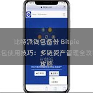 比特派钱包备份 Bitpie钱包使用技巧：多链资产管理全攻略