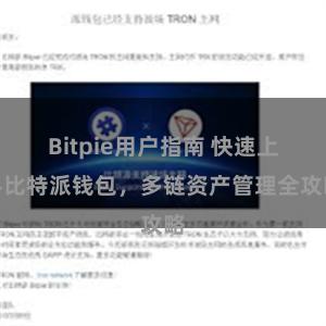 Bitpie用户指南 快速上手比特派钱包，多链资产管理全攻略