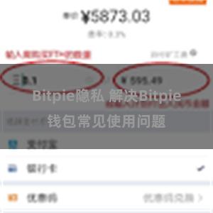 Bitpie隐私 解决Bitpie钱包常见使用问题