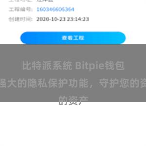 比特派系统 Bitpie钱包：强大的隐私保护功能，守护您的资产