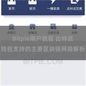 Bitpie用户教程 比特派钱包支持的主要区块链网络解析