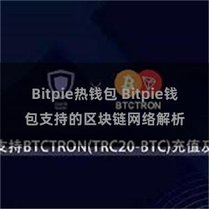 Bitpie热钱包 Bitpie钱包支持的区块链网络解析