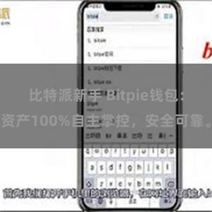 比特派新手 Bitpie钱包：资产100%自主掌控，安全可靠。