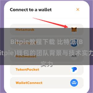 Bitpie教程下载 比特派(Bitpie)钱包的团队背景与技术实力