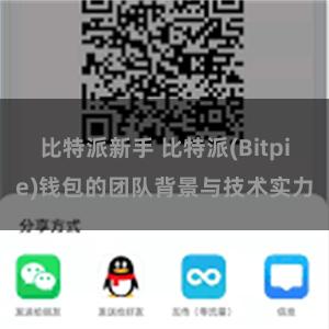 比特派新手 比特派(Bitpie)钱包的团队背景与技术实力