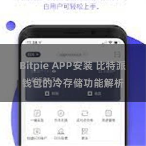 Bitpie APP安装 比特派钱包的冷存储功能解析