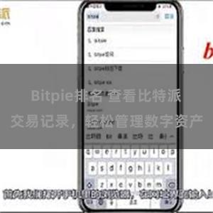 Bitpie排名 查看比特派交易记录，轻松管理数字资产