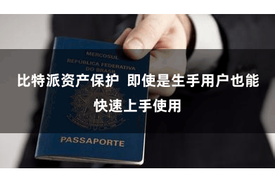 比特派资产保护  即使是生手用户也能快速上手使用