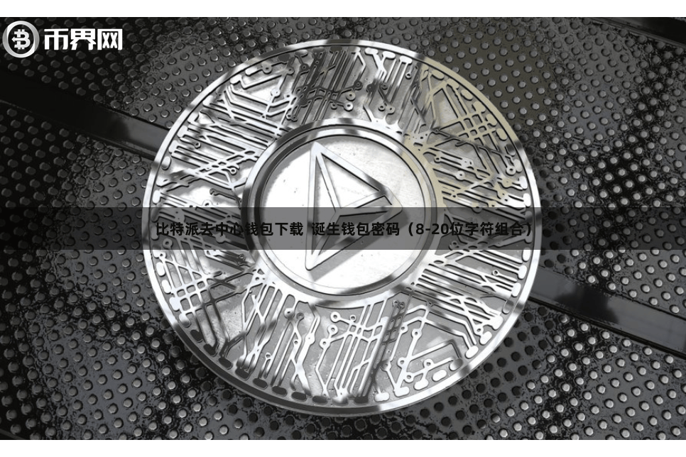 比特派去中心钱包下载 诞生钱包密码(8-20位字符组合)