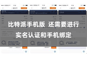 比特派手机版  还需要进行实名认证和手机绑定