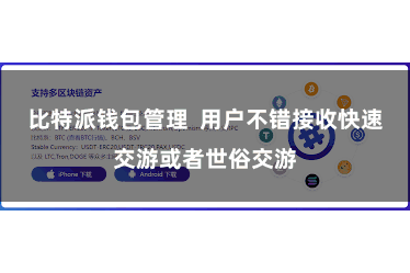 比特派钱包管理  用户不错接收快速交游或者世俗交游