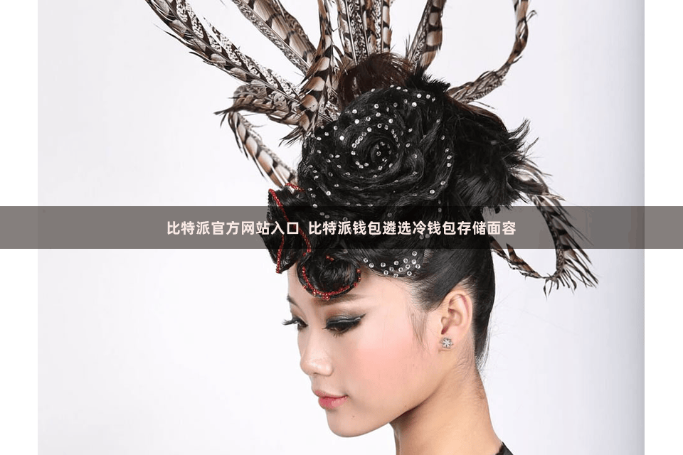 比特派官方网站入口  比特派钱包遴选冷钱包存储面容