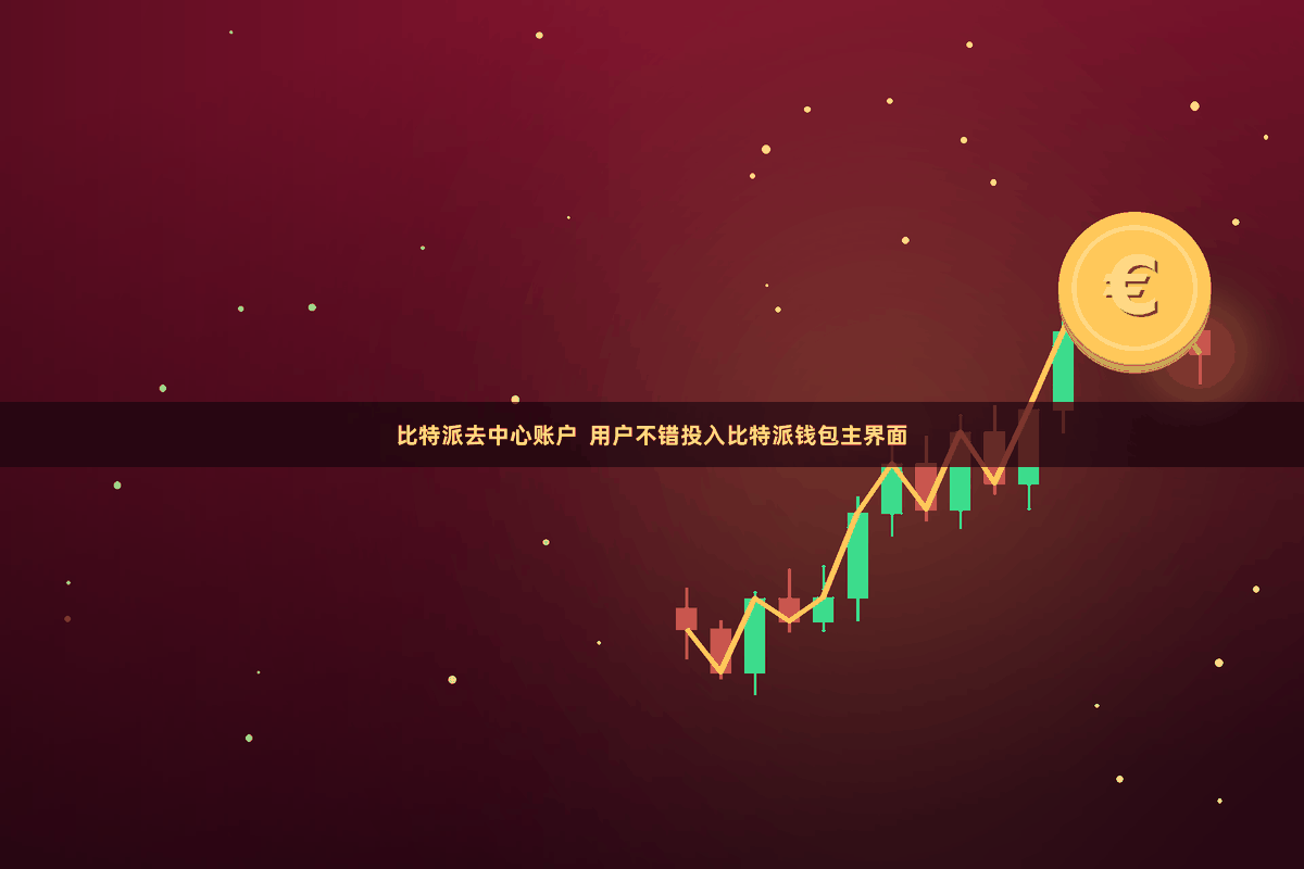 比特派去中心账户  用户不错投入比特派钱包主界面